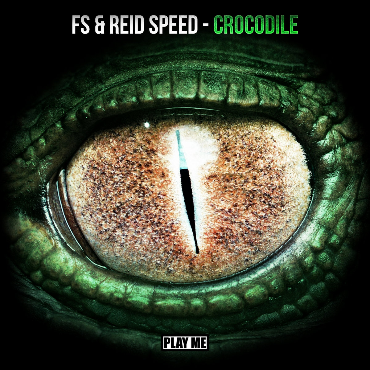 FS x Reid Speed - FS x Reid Speed - Crocodile